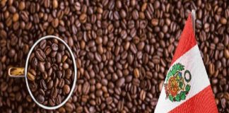 Perú | El despertar de la Amazonía. Exportaciones de la selva peruana alcanza cifra histórica de US$ 4.100 millones en 2025