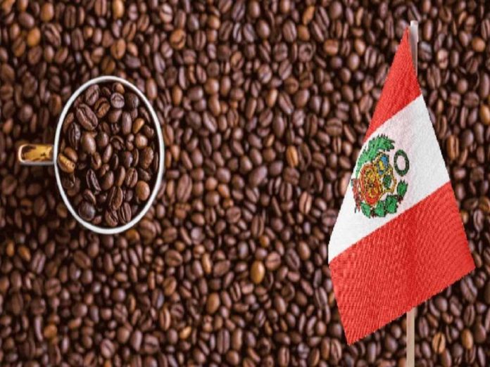 Perú | El despertar de la Amazonía. Exportaciones de la selva peruana alcanza cifra histórica de US$ 4.100 millones en 2025