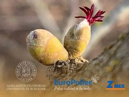 Zimex, la empresa de biotecnología en Chile, que consolida su investigación y desarrollo en “Polinización Asistida de Frutales” en Europa ante la crisis sistémica de polinizadores. Zimex, la empresa de biotecnología en Chile, que consolida su investigación y desarrollo en “Polinización Asistida de Frutales” en Europa ante la crisis sistémica de polinizadores.