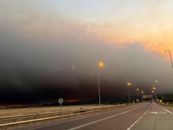 Presidente de Corma: “Hoy la prioridad es evitar pérdidas humanas y frenar la ocurrencia de nuevos incendios”
