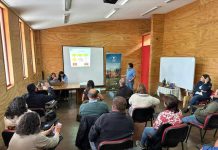 Productores ganaderos avanzan en la proyección de sus planes de negocio con apoyo del PTI de la Carne Bovina