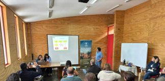 Productores ganaderos avanzan en la proyección de sus planes de negocio con apoyo del PTI de la Carne Bovina
