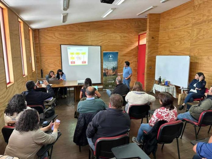 Productores ganaderos avanzan en la proyección de sus planes de negocio con apoyo del PTI de la Carne Bovina Productores ganaderos avanzan en la proyección de sus planes de negocio con apoyo del PTI de la Carne Bovina