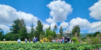 Proyecto Corfo "Físaro Sostenible" impulsa la agricultura familiar campesina con inteligencia artificial y prácticas sostenibles