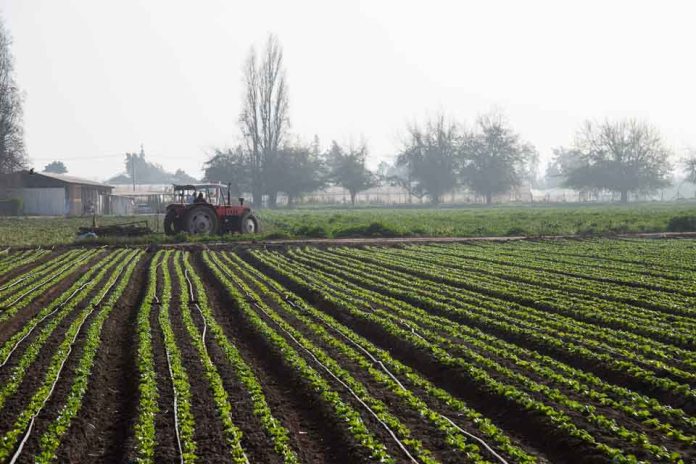 Refuerzan llamado preventivo a aplicar Faena Cero para reducir el riesgo de incendios forestales en Biobío Refuerzan llamado preventivo a aplicar Faena Cero para reducir el riesgo de incendios forestales en Biobío