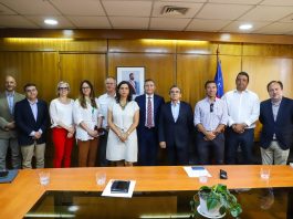 Minagri y SAG presentan propuesta de resolución que entrega más claridad y certezas sobre nuevas técnicas de mejoramiento vegetal Minagri y SAG presentan propuesta de resolución que entrega más claridad y certezas sobre nuevas técnicas de mejoramiento vegetal