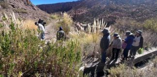 Riego en el desierto CNR entrega 19 diseños para obras hídricas en Huara y Pozo Almonte