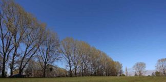 SAG habilita nuevo sistema informático para el trámite de subdivisión de predios rústicos