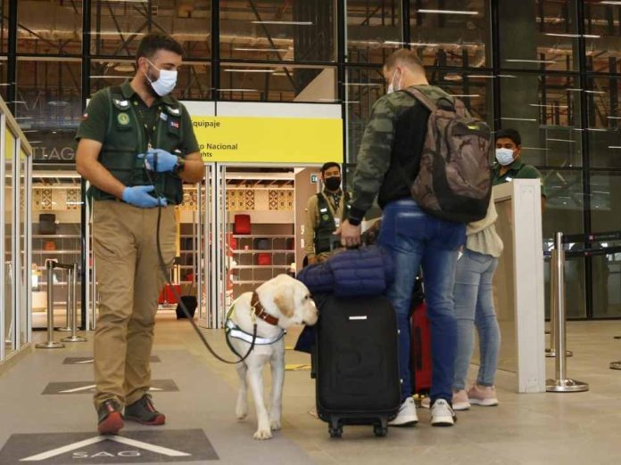 SAG recuerda a pasajeros/as respetar prohibición de ingreso de productos porcinos desde España por riesgo de peste porcina africana