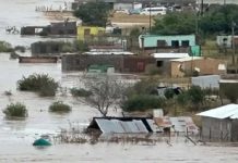 Sudáfrica declara desastre nacional por inundaciones: Impacto en zonas productoras de cítricos y paltas