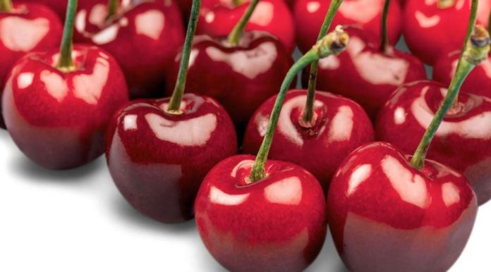 Tasmania inaugura su temporada de exportación de cerezas con un despliegue estratégico en Hong Kong