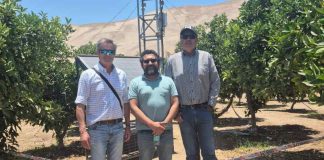 El proyecto, financiado por el programa Innova Región de Corfo, se ejecuta en la planta de compostaje Don Salomón, de la agricultora Liliana Trigo. La iniciativa surge de un dolor real del territorio: la dependencia de compost traído del sur