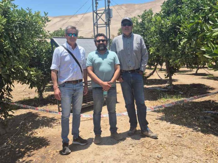 El proyecto, financiado por el programa Innova Región de Corfo, se ejecuta en la planta de compostaje Don Salomón, de la agricultora Liliana Trigo. La iniciativa surge de un dolor real del territorio: la dependencia de compost traído del sur El proyecto, financiado por el programa Innova Región de Corfo, se ejecuta en la planta de compostaje Don Salomón, de la agricultora Liliana Trigo. La iniciativa surge de un dolor real del territorio: la dependencia de compost traído del sur