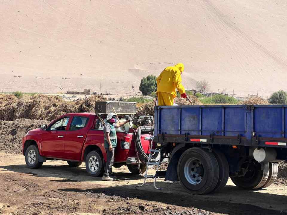 El proyecto, financiado por el programa Innova Región de Corfo, se ejecuta en la planta de compostaje Don Salomón, de la agricultora Liliana Trigo. La iniciativa surge de un dolor real del territorio: la dependencia de compost traído del sur