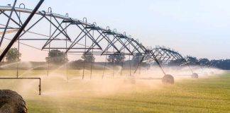 USA | El uso eficiente del agua impulsa la productividad del trigo y reduce las emisiones