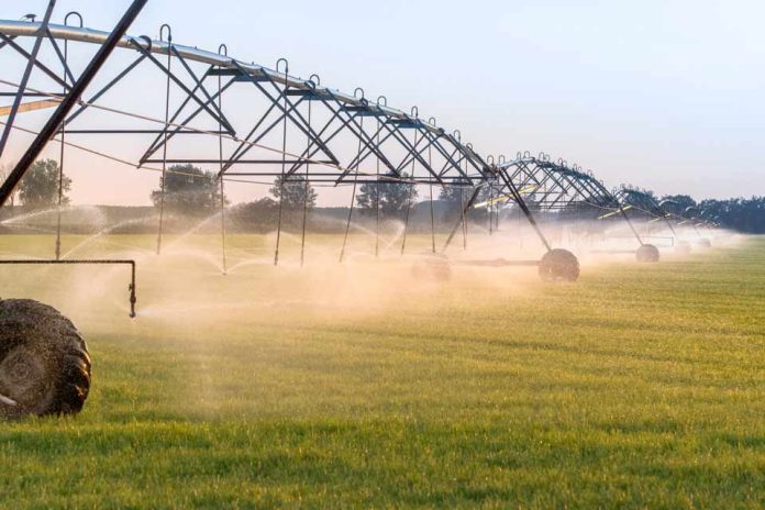 USA | El uso eficiente del agua impulsa la productividad del trigo y reduce las emisiones