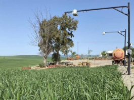 Una plataforma inteligente estima el riego diario y ahorra un 32% de agua