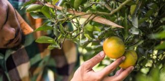 Urgencia en la regularización de las OUA se vuelve clave para el sector productivo en la Región de Valparaíso