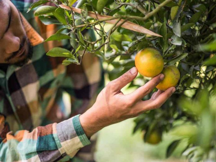 Urgencia en la regularización de las OUA se vuelve clave para el sector productivo en la Región de Valparaíso Urgencia en la regularización de las OUA se vuelve clave para el sector productivo en la Región de Valparaíso