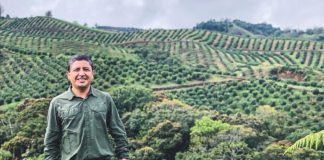 AGROECONOMÍAEMPRESASMERCADO Westfalia Colombia apuesta por la palta y consolida su origen competitivo