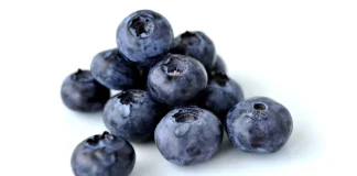 Canadá: Sequía golpea a productores de arándanos de Nueva Escocia. Producción disminuye 50%