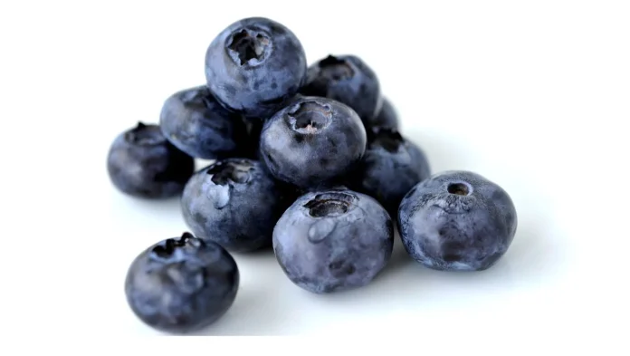 arandanos Canadá: Sequía golpea a productores de arándanos de Nueva Escocia. Producción disminuye 50%