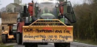 Francia suspende las importaciones agrícolas sudamericanas tratadas con sustancias prohibidas en la UE