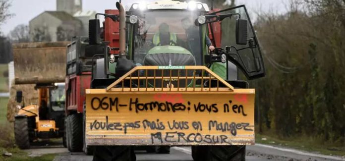 Francia suspende las importaciones agrícolas sudamericanas tratadas con sustancias prohibidas en la UE