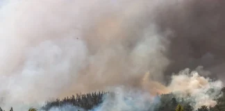 Cómo los incendios forestales están transformando los suelos chilenos