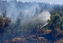 Ministerio de Agricultura declara emergencia agrícola para la Región del Biobío como consecuencia de los incendios forestales