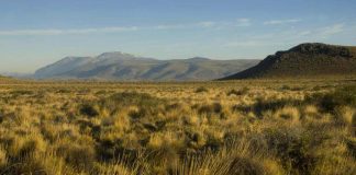 La Patagonia será regenerativa o no será: TNC, una peso pesado del ambientalismo, se suma al esfuerzo para que productores del sur adopten prácticas de conservación del suelo y puedan obtener así bonos de carbono