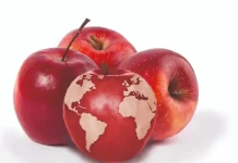 EEUU | La producción mundial de manzanas cae a su nivel más bajo en cinco años y reconfigura el mercado global EEUU | La producción mundial de manzanas cae a su nivel más bajo en cinco años y reconfigura el mercado global