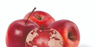 EEUU | La producción mundial de manzanas cae a su nivel más bajo en cinco años y reconfigura el mercado global