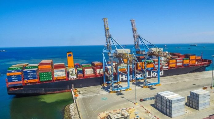 Puerto de Paita envía cerca de la mitad de arándanos exportados por Perú en el 2025