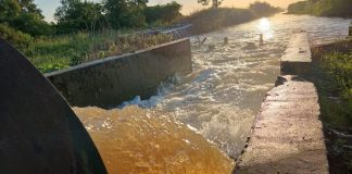 Productores de arroz de San Javier reclaman cambios urgentes en contratos eléctricos por crisis energética