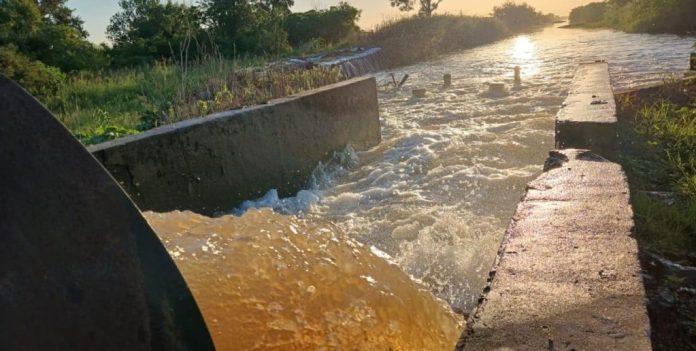 Productores de arroz de San Javier reclaman cambios urgentes en contratos eléctricos por crisis energética