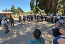 2,5 toneladas de alimento para aves llegan a productores afectados por incendios en Ñuble