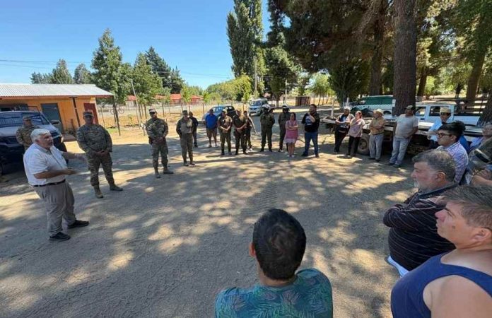 2,5 toneladas de alimento para aves llegan a productores afectados por incendios en Ñuble