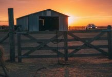 2DO Barómetro de Robo Agrícola elaborado por la Sociedad Nacional de Agricultura 2DO Barómetro de Robo Agrícola elaborado por la Sociedad Nacional de Agricultura