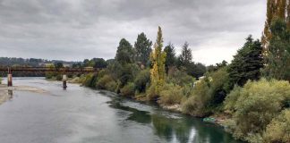 A más de 397 mil millones de pesos asciende el monto identificado a pagar en patentes por no uso de aguas