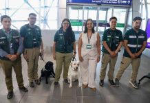 Aeropuerto de Santiago: SAG registra casi 10 mil mascotas arribadas y enfatiza importancia del certificado zoosanitario Aeropuerto de Santiago: SAG registra casi 10 mil mascotas arribadas y enfatiza importancia del certificado zoosanitario