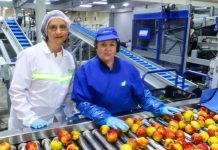 Agenda de Competitividad Agroexportadora Sustentable impulsa alza de 6,5% en exportaciones y récord sobre US$ 20.500 millones Agenda de Competitividad Agroexportadora Sustentable impulsa alza de 6,5% en exportaciones y récord sobre US$ 20.500 millones