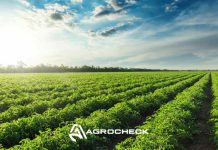 Agrocheck: Software agrícola líder en el control de cosecha y la gestión de labores en Chile Agrocheck: Software agrícola líder en el control de cosecha y la gestión de labores en Chile