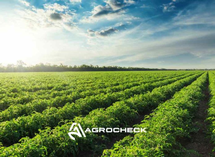 Agrocheck: Software agrícola líder en el control de cosecha y la gestión de labores en Chile Agrocheck: Software agrícola líder en el control de cosecha y la gestión de labores en Chile