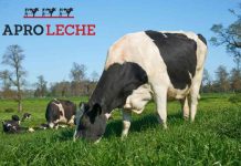 Aproleche Osorno estrena su nueva imagen de marca