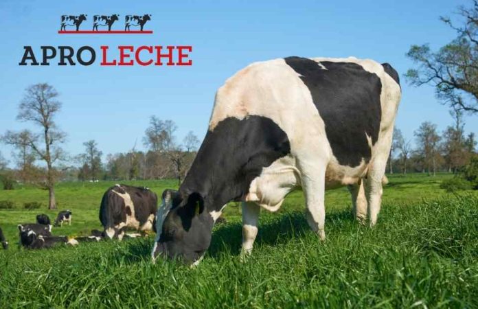 Aproleche Osorno estrena su nueva imagen de marca Aproleche Osorno estrena su nueva imagen de marca