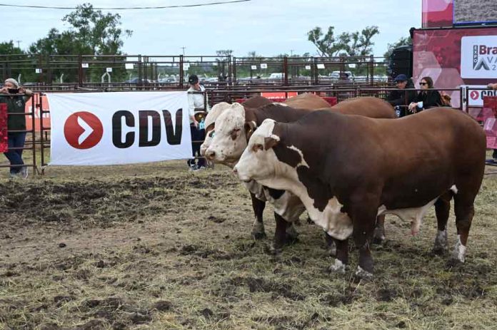 Argentina | CDV vuelve a Expoagro para potenciar la sanidad y la producción animal Argentina | CDV vuelve a Expoagro para potenciar la sanidad y la producción animal