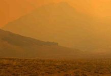 Argentina | Crisis en Chubut: Más de 50 días de incendios devastan el campo y afectan a los productores