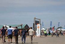 Argentina | En pleno boom ganadero, las razas multiplican su presencia Argentina | En pleno boom ganadero, las razas multiplican su presencia