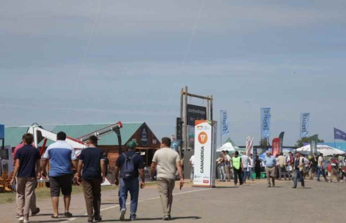 Argentina | En pleno boom ganadero, las razas multiplican su presencia